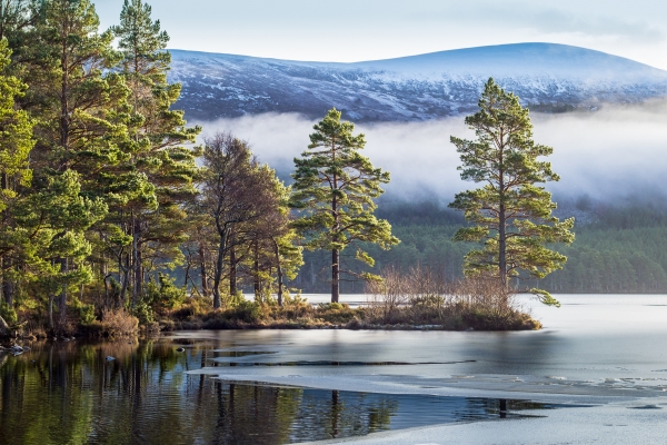 Loch an Eilein in the Cairngorms, Scotland Vacation Packages