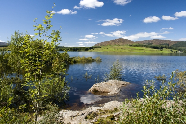 Galloway Forest Park, Scotland