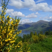 Scotland in Spring