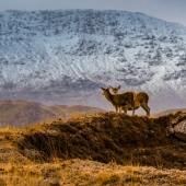 36 Hour Itinerary - Glencoe 