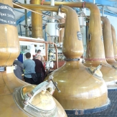 5-Day Whisky & Castles Tour