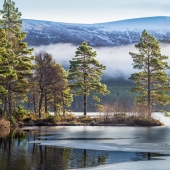 The Cairngorms… not just for Skiing!