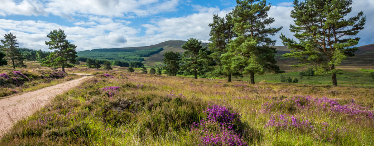 6 Day Isle of Skye, Royal Deeside & Speyside Whisky Tour