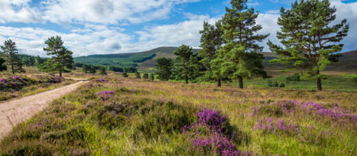 6 Day Isle of Skye, Royal Deeside & Speyside Whisky Tour