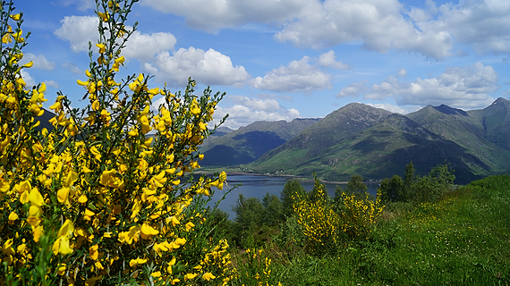 Tour of Scottish Highlands